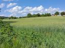Building plot for sale in Dudaron