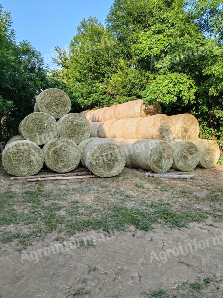 Alfalfa and hay bales for sale