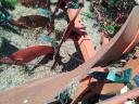 Vogel Noot replaced by rotating plough