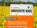 Umberto KWS rape seed