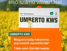 UMBERTO KWS repce vetőmag