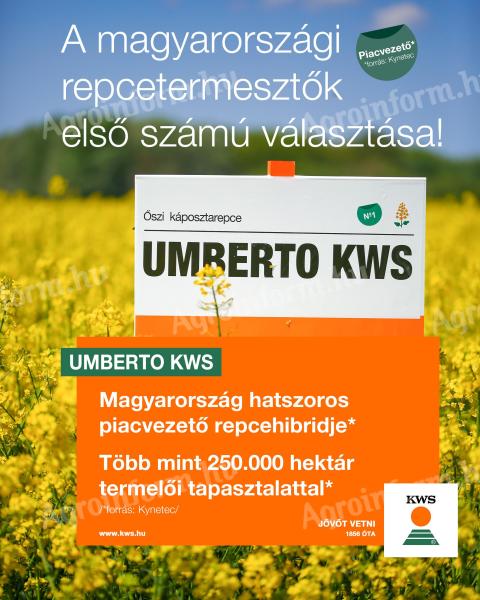 Umberto KWS rape seed