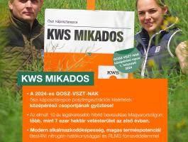 KWS MIKADOS repce vetőmag