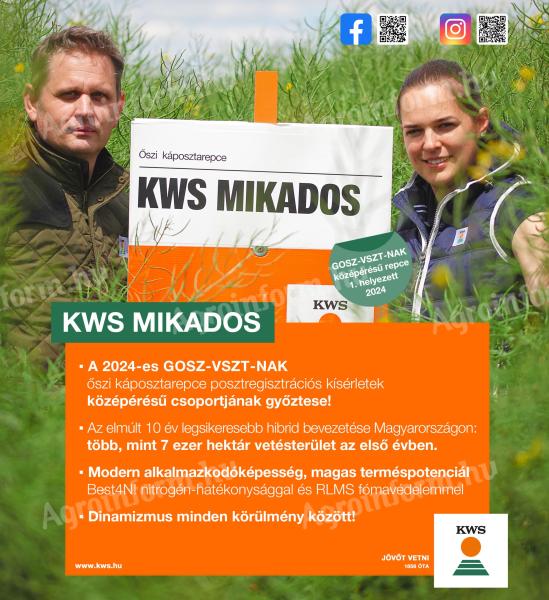 KWS MIKADOS rapeseed