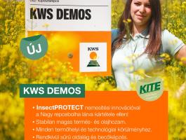 KWS DEMOS Repce Vetőmag
