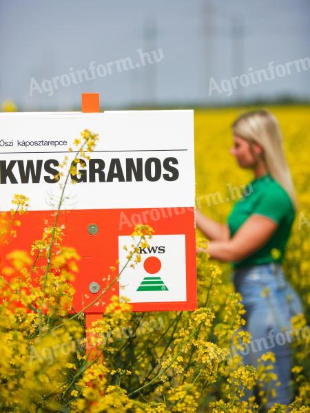 KWS GRANOS rape seed