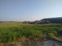 Livestock farm for sale