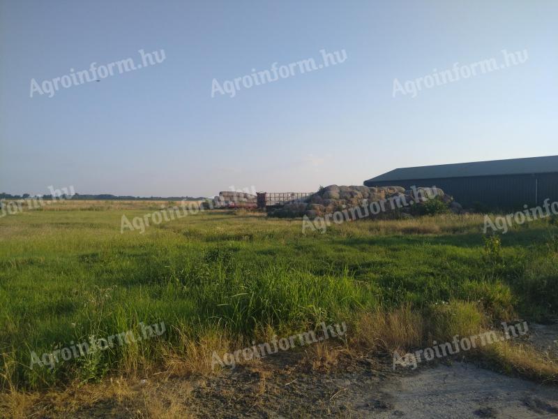 Livestock farm for sale