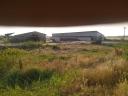 Livestock farm for sale