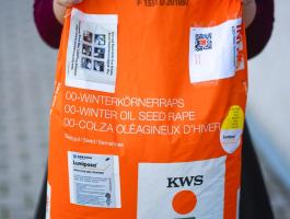 Prémium KWS repce vetőmag