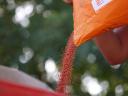 Premium KWS rapeseed