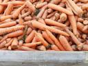 Carrot feed for sale in Mórahalmon