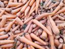 Carrot feed for sale in Mórahalmon