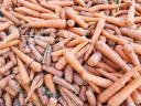 Carrot feed for sale in Mórahalmon
