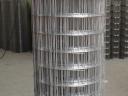 FROM THE FENCE: wildlife netting, wire netting, wire mesh, wire fence, wildlife fence, panel fence