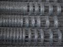 FROM THE FENCE: wildlife netting, wire netting, wire mesh, wire fence, wildlife fence, panel fence