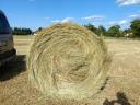 Rett hay, green dried, good quality, free from leaching