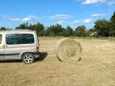 Rett hay, green dried, good quality, free from leaching