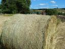Rett hay, green dried, good quality, free from leaching