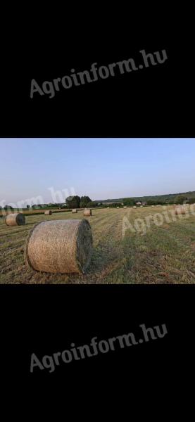 Grass hay for sale