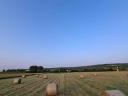 Grass hay for sale