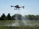 Insecticide application by drone in maize! Officially authorised from 2025