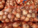 Onions