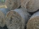 Bale of hay