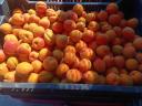 Apricots, apricots