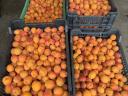 Apricot, apricot puree, fruit
