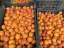 Apricot, apricot puree, fruit