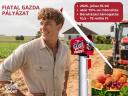 Frost protection of apricot, cherry and apple orchards with WepiFrost wind machines