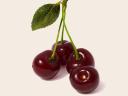 Cefre sour cherries for sale