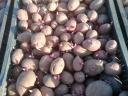 Seed size potatoes