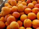 Delicious apricots, apricots for sale