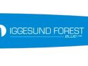 Iggesund driver plate IF2811-82PX