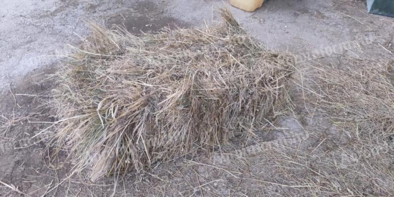 Cube bale