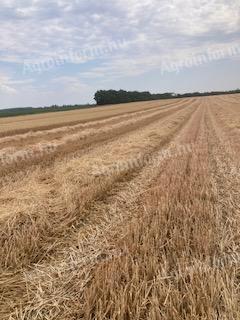 Wheat straw for sale