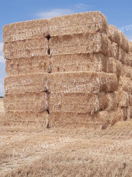 Cube bale