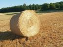 Round straw for sale