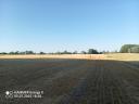 Round straw for sale