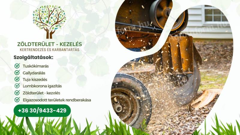 Stump picking, stump grinding, limbing, branch chipping in and around Jászberény