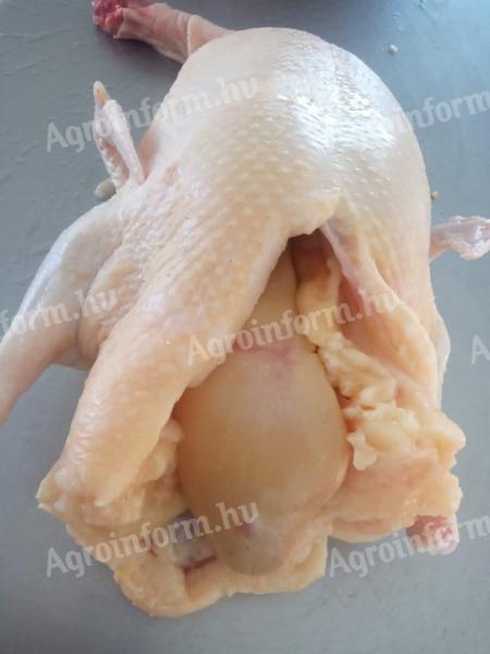 Chicken, duck