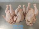 Chicken, duck