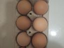 Beautiful homemade eggs for sale