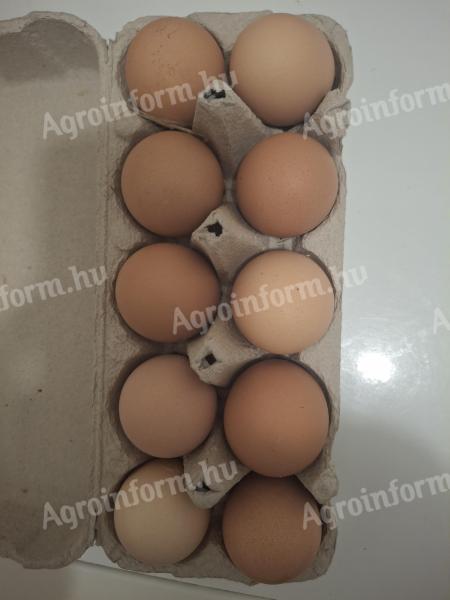 Beautiful homemade eggs for sale