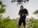Drone spraying and survey