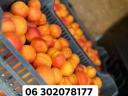 Apricot, peach