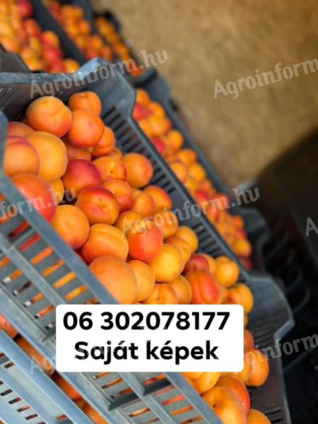 Apricot, peach