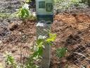 Residential, industrial electrical installation and lightning protection networks